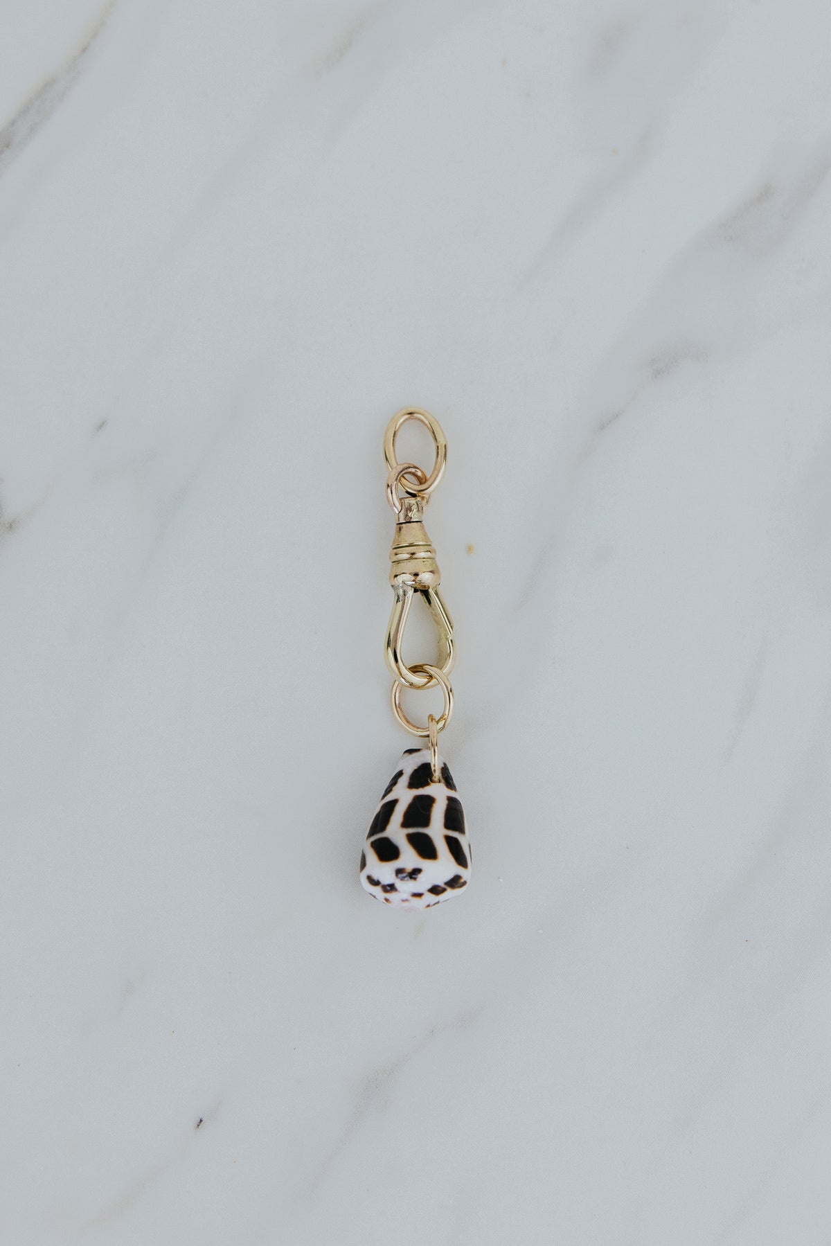 Wings Hawaii Hebrew Cone Shell pendant necklace charm on 14k gold-filled fob clasp. Fine jewelry handcrafted in Maui with authentic Hawaiian seashells. 