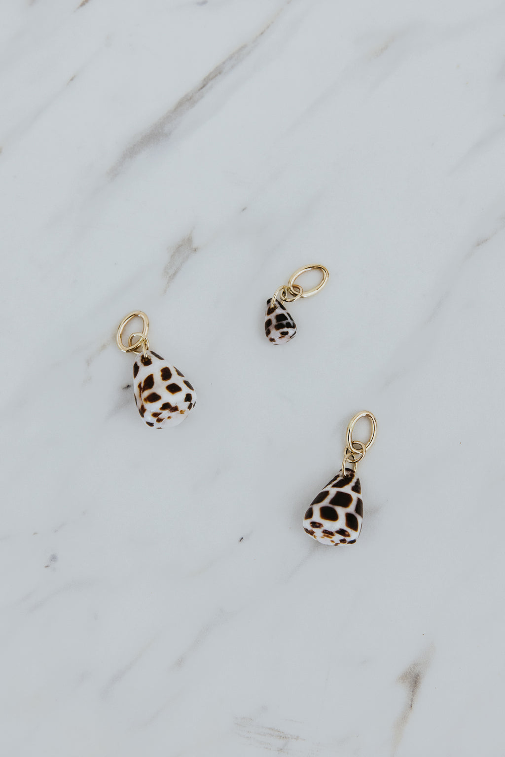 Necklace Charm - Petite Hebrew Cone Shell