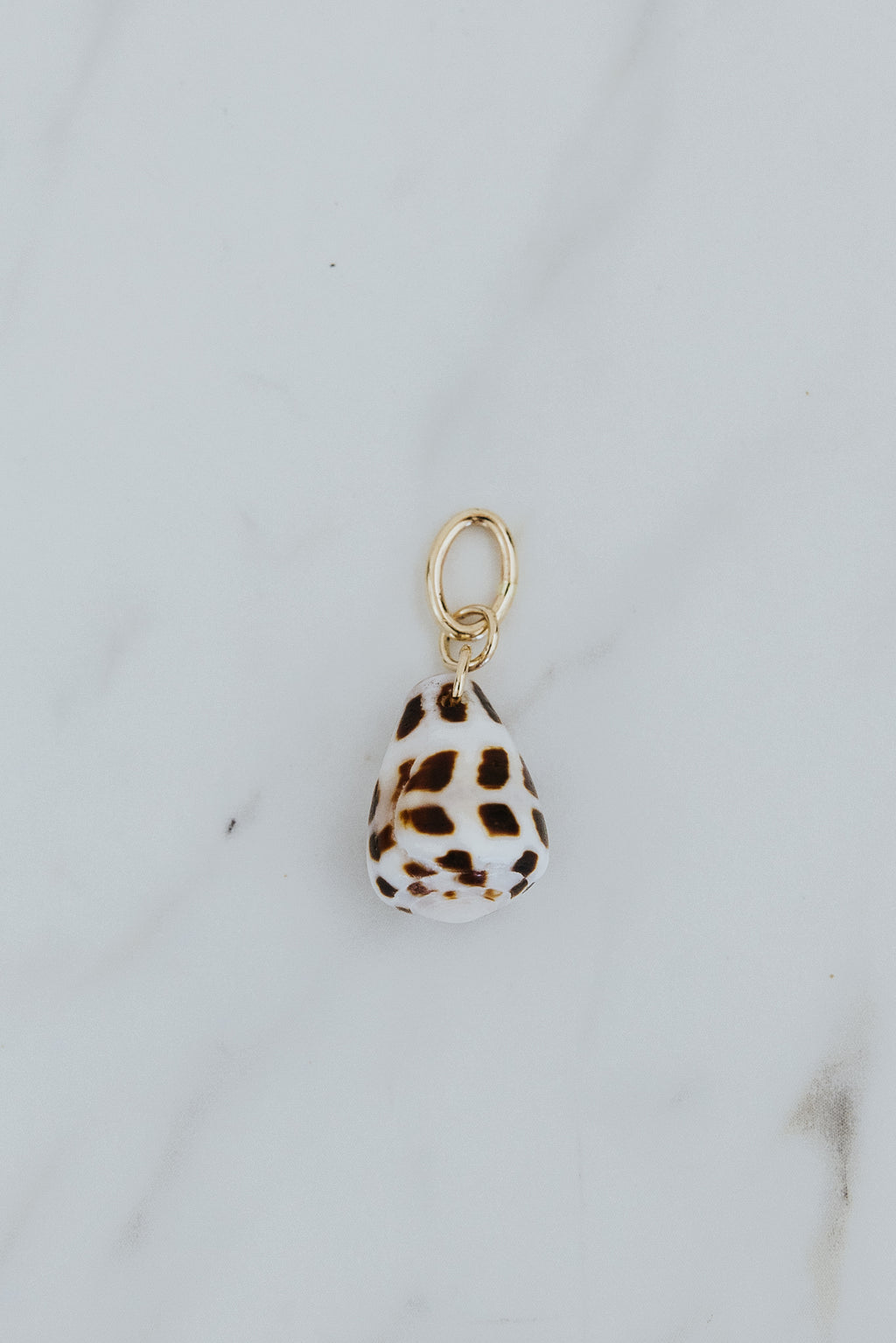 Necklace Charm - Petite Hebrew Cone Shell
