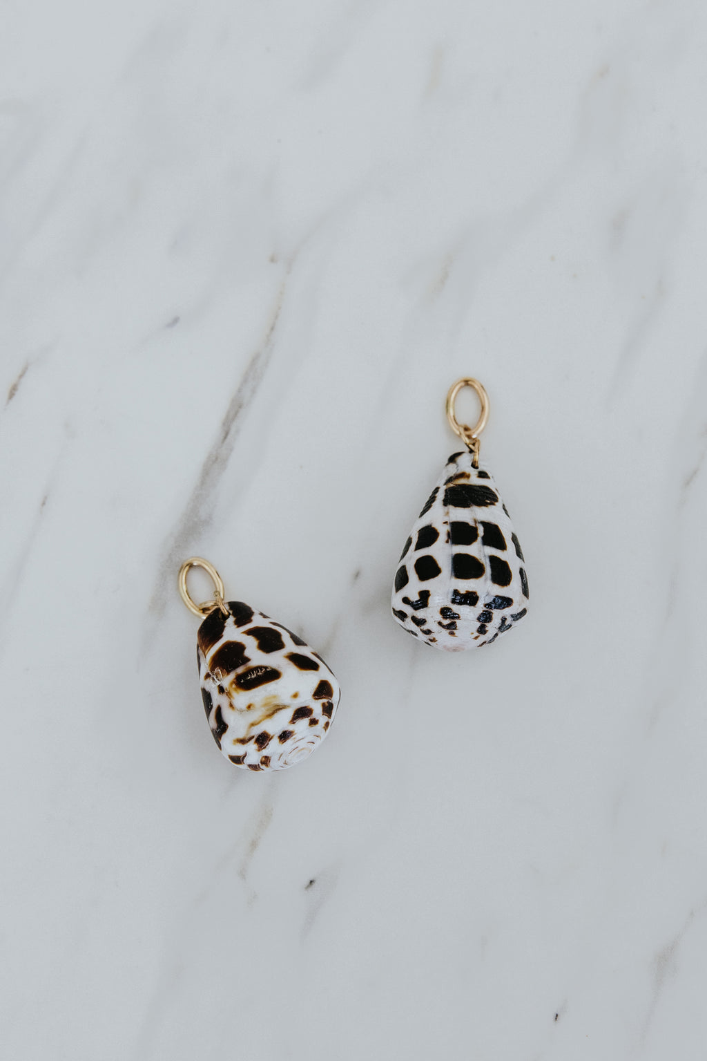 Necklace Charm - Hebrew Cone Shell