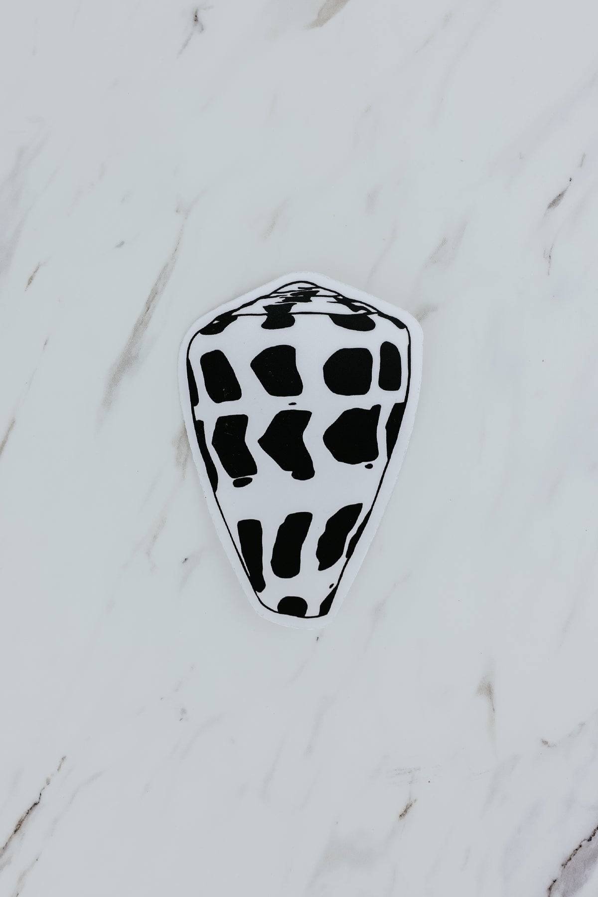 Hebrew Cone Shell Sticker