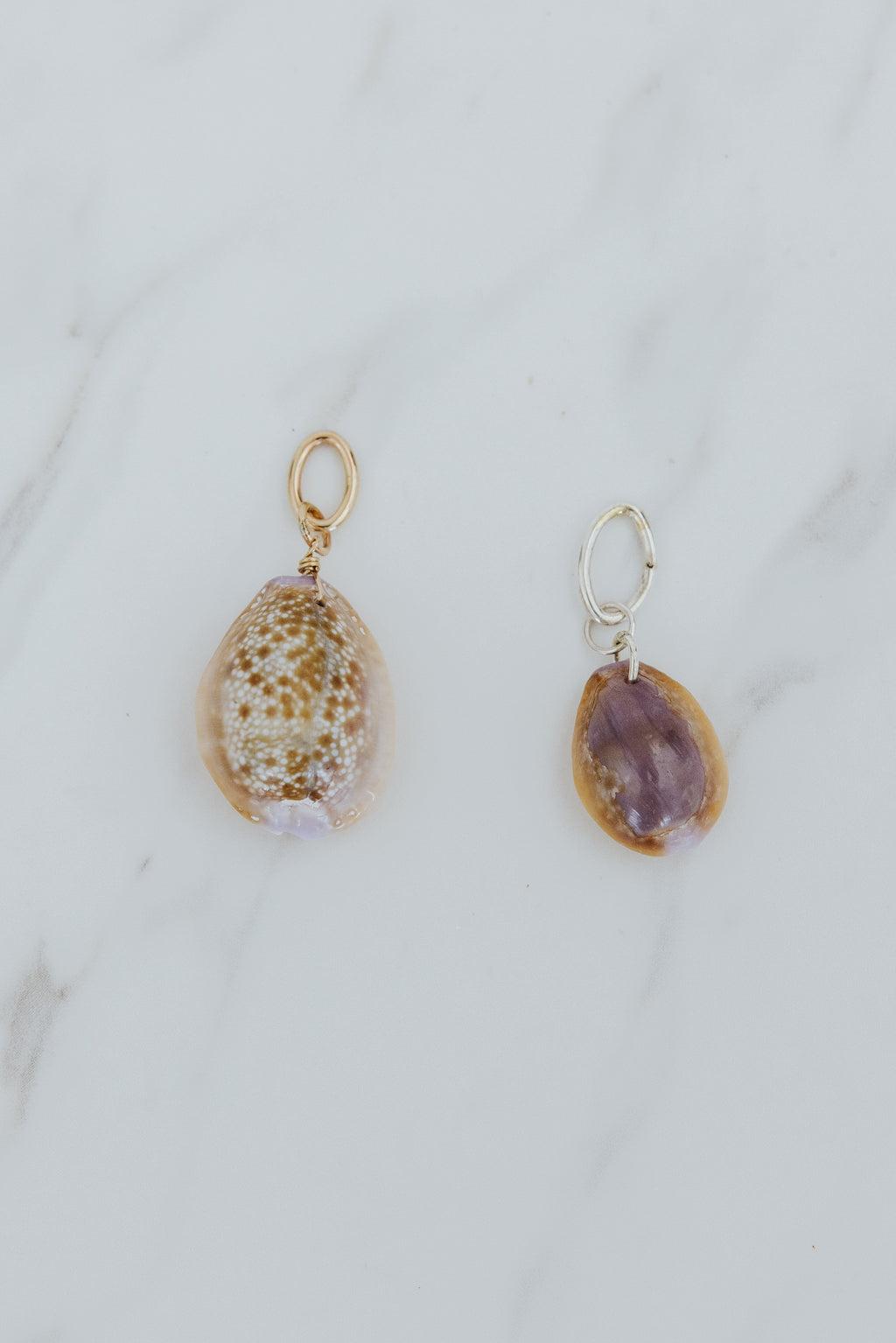 Wings Hawaii Honey Cowrie Shell necklace charms in 14k gold-filled. Fine shell jewelry handcrafted in Maui. Modern beachy charm necklaces handmade with authentic Hawaiian sea shells. 