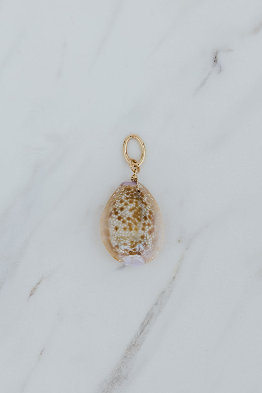 Wings Hawaii Honey Cowrie Shell necklace charms in 14k gold-filled. Fine shell jewelry handcrafted in Maui. Modern beachy charm necklaces handmade with authentic Hawaiian sea shells. 