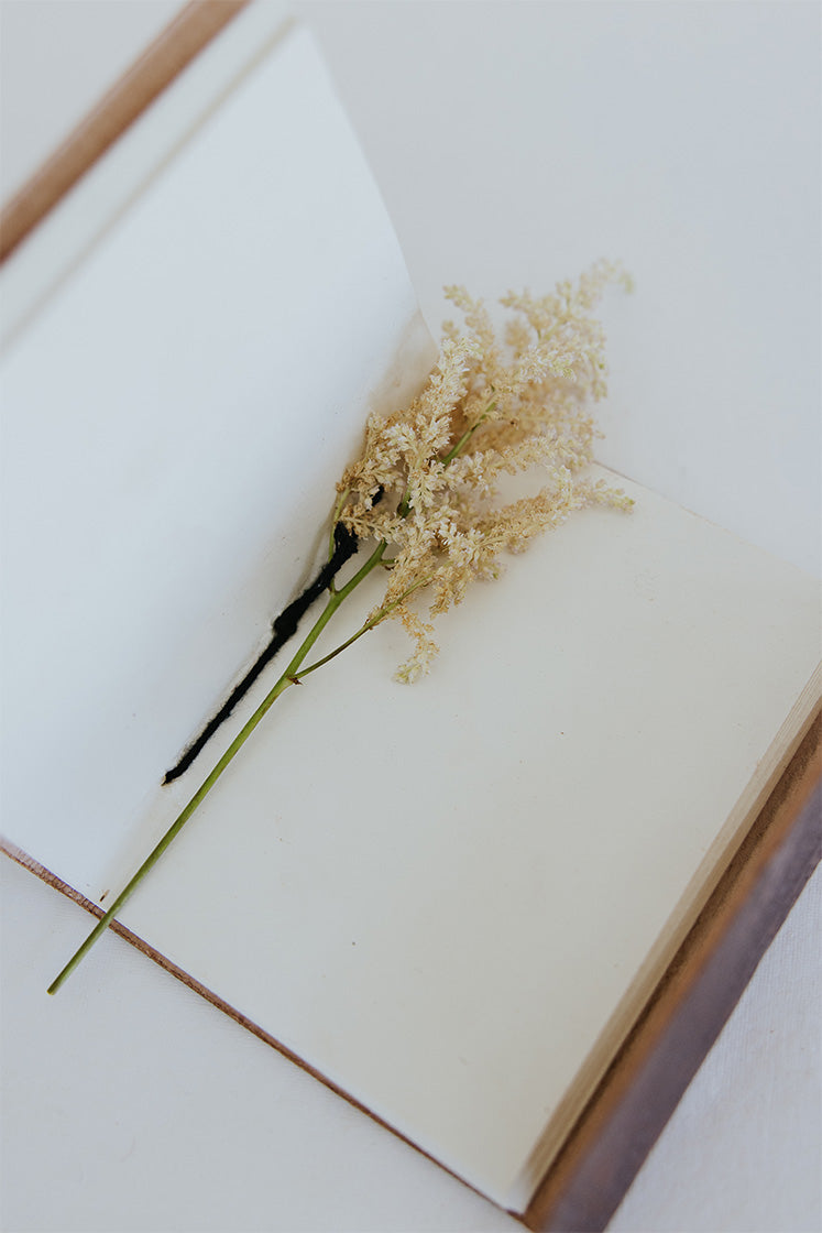 Field Note Leather Journal