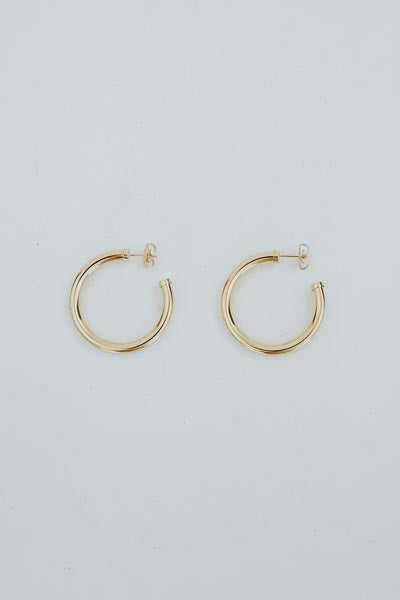 The Perfect Hoops - Large
