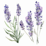 To Be Organics Candle thumbnail