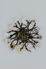 Shell Key Chain thumbnail