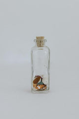 Wings Hawaii Mermaid's Little Treasure Trove Jar thumbnail