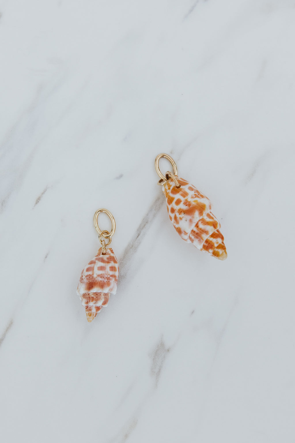Wings Hawaii Miter Shell necklace charms in 14k gold-filled. Fine shell jewelry handcrafted in Maui. Modern beachy charm necklaces handmade with authentic Hawaiian sea shells. 