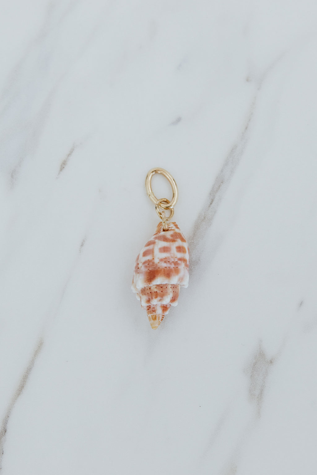 Wings Hawaii Miter Shell necklace charms in 14k gold-filled. Fine shell jewelry handcrafted in Maui. Modern beachy charm necklaces handmade with authentic Hawaiian sea shells. 