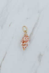 Wings Hawaii Miter Shell necklace charms in 14k gold-filled. Fine shell jewelry handcrafted in Maui. Modern beachy charm necklaces handmade with authentic Hawaiian sea shells.  thumbnail