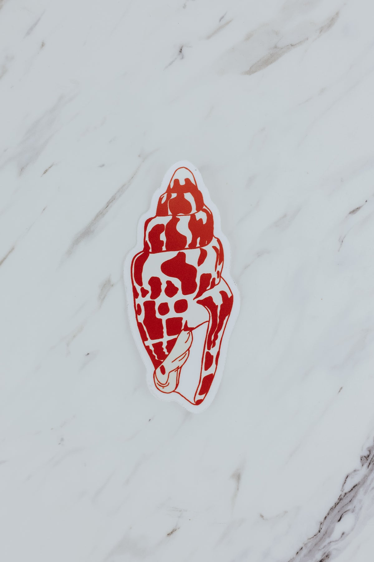 Miter Shell Sticker