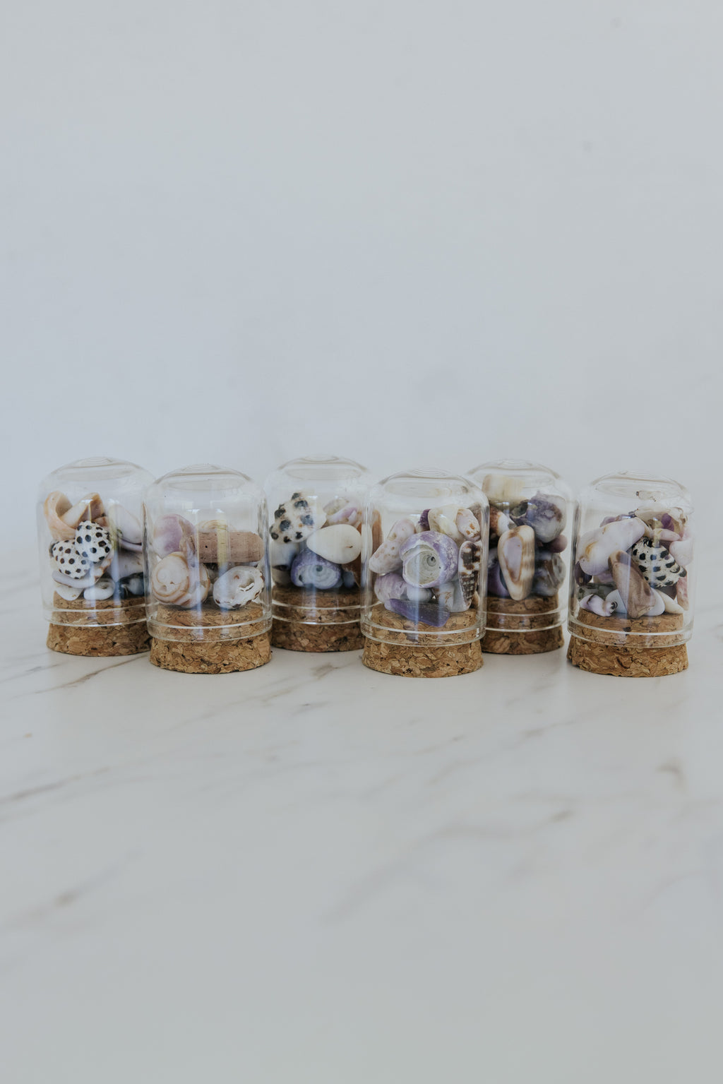 Wings Hawaii Curiosity Dome - Oahu Shells. Glass jar containing real Hawaiian shells hand-collected from the island of Oahu. Made with aloha in Maui. Great Hawaii souvenir or gift for shell collectors.