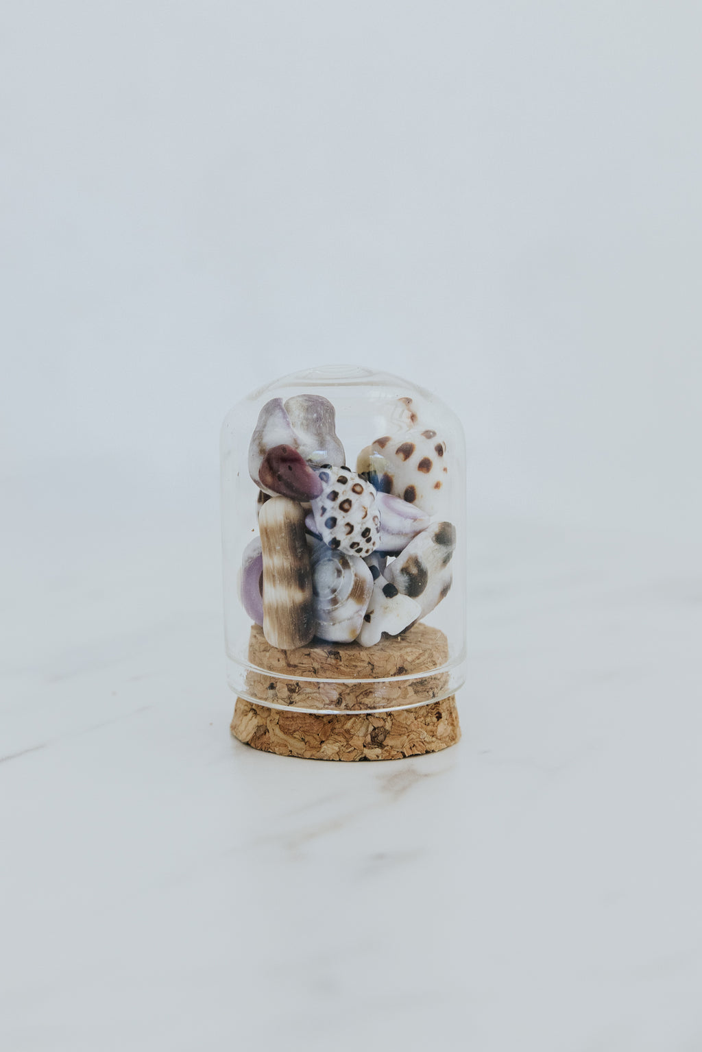 Wings Hawaii Curiosity Dome - Oahu Shells. Glass jar containing real Hawaiian shells hand-collected from the island of Oahu. Made with aloha in Maui. Great Hawaii souvenir or gift for shell collectors.