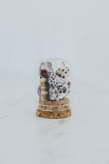 Wings Hawaii Curiosity Dome - Oahu Shells. Glass jar containing real Hawaiian shells hand-collected from the island of Oahu. Made with aloha in Maui. Great Hawaii souvenir or gift for shell collectors. thumbnail