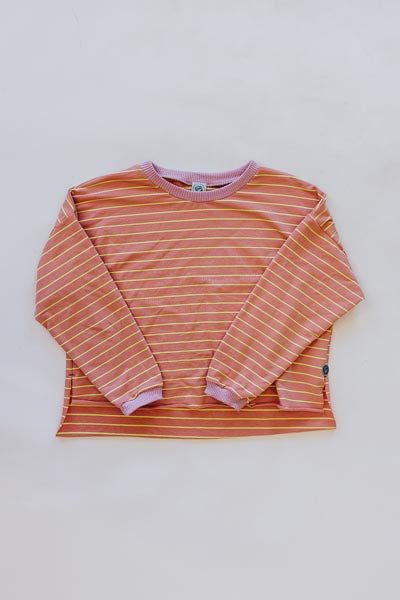 wings hawaii boxy long sleeve top in clay stripe