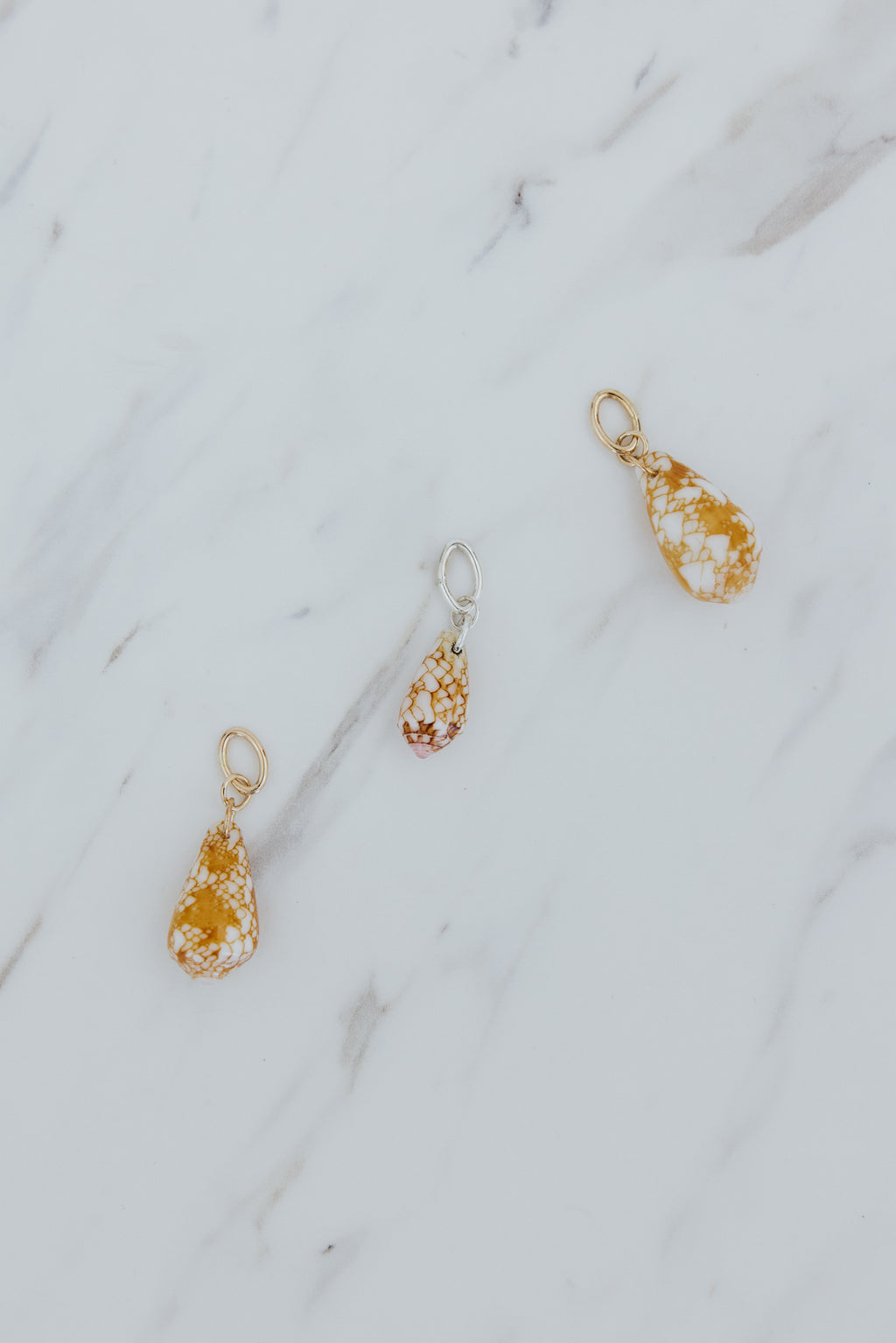 Wings Hawaii Penniform Cone Shell necklace charms in 14k gold-filled or sterling silver. Fine shell jewelry handcrafted in Maui. Modern beachy charm necklaces handmade with authentic Hawaiian sea shells. 
