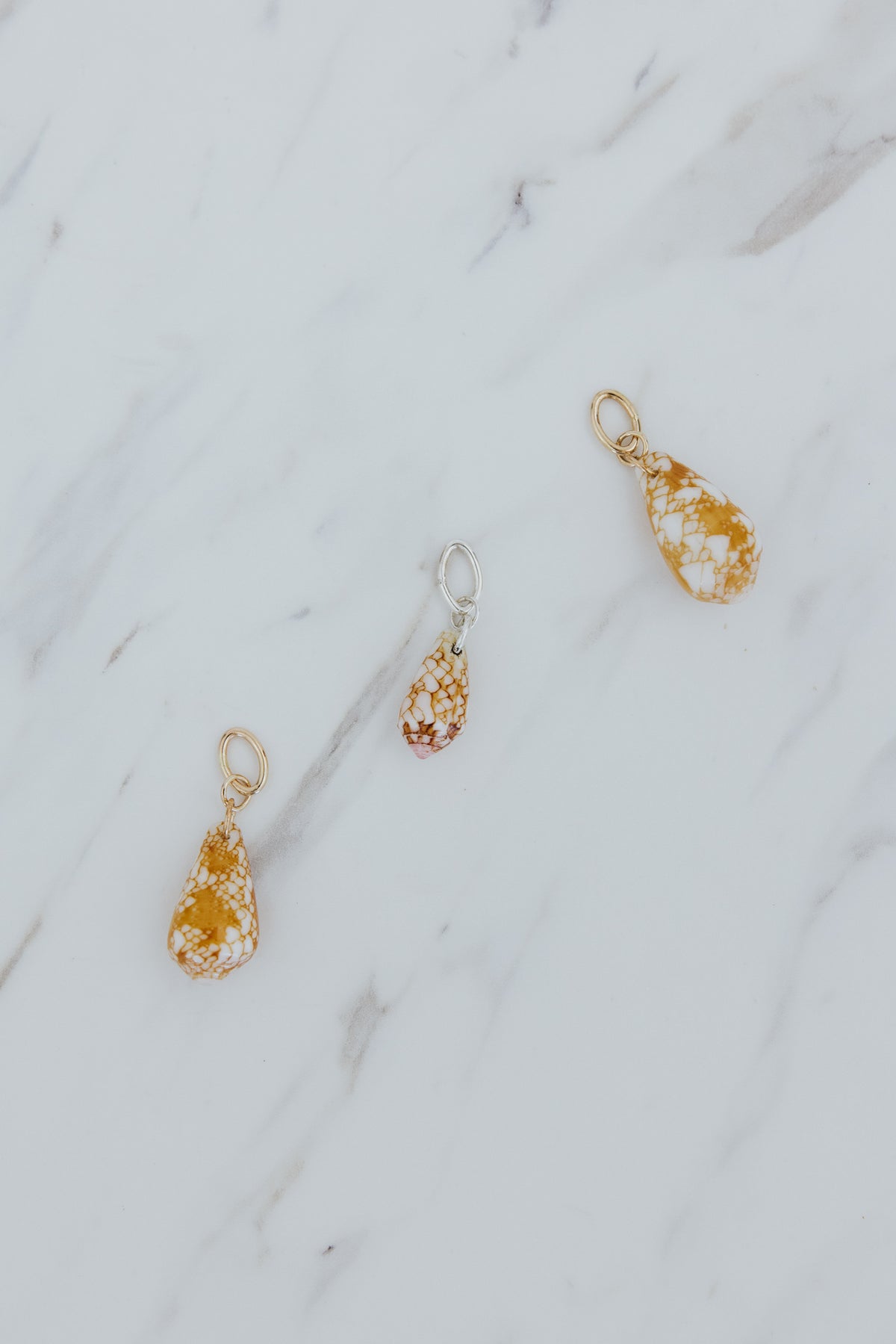 Wings Hawaii Penniform Cone Shell necklace charms in 14k gold-filled or sterling silver. Fine shell jewelry handcrafted in Maui. Modern beachy charm necklaces handmade with authentic Hawaiian sea shells. 