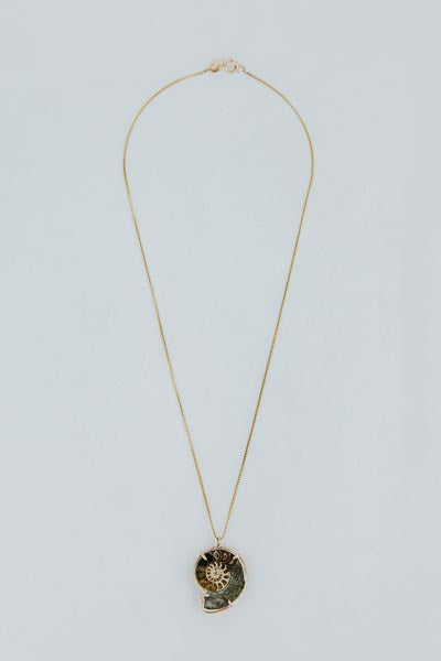 Wings Hawaii prong set ammonite fossil necklace in 14k gold filled 