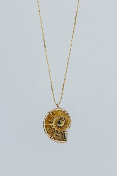 Wings Hawaii prong set ammonite fossil necklace in 14k gold filled 