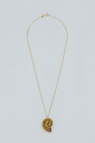 Wings Hawaii prong set ammonite fossil necklace in 14k gold filled 