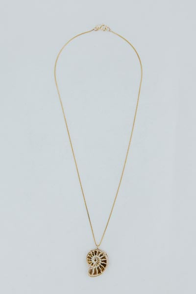 Wings Hawaii prong set ammonite fossil necklace in 14k gold filled 