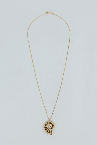 Wings Hawaii prong set ammonite fossil necklace in 14k gold filled 