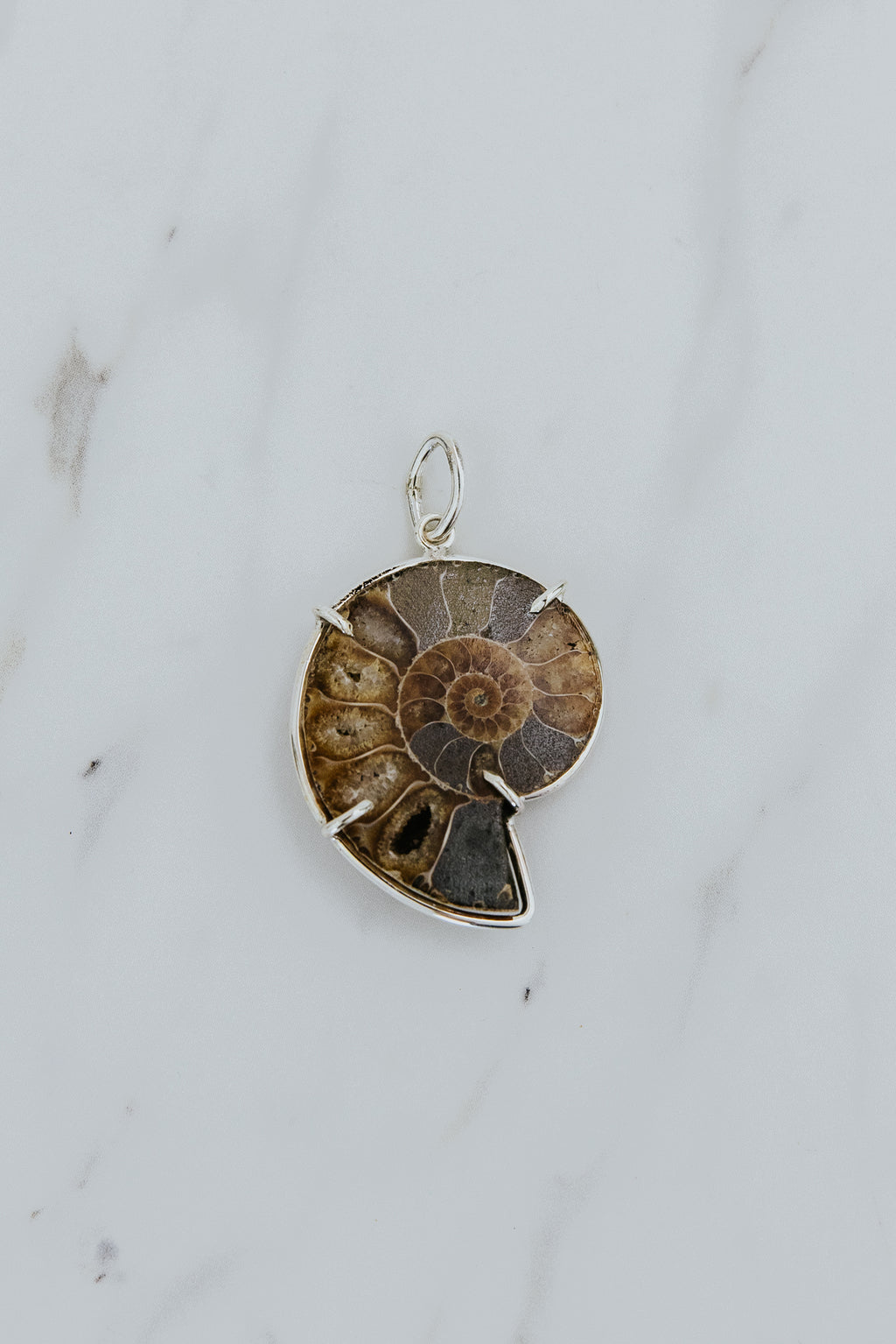 Necklace Charm - Ammonite