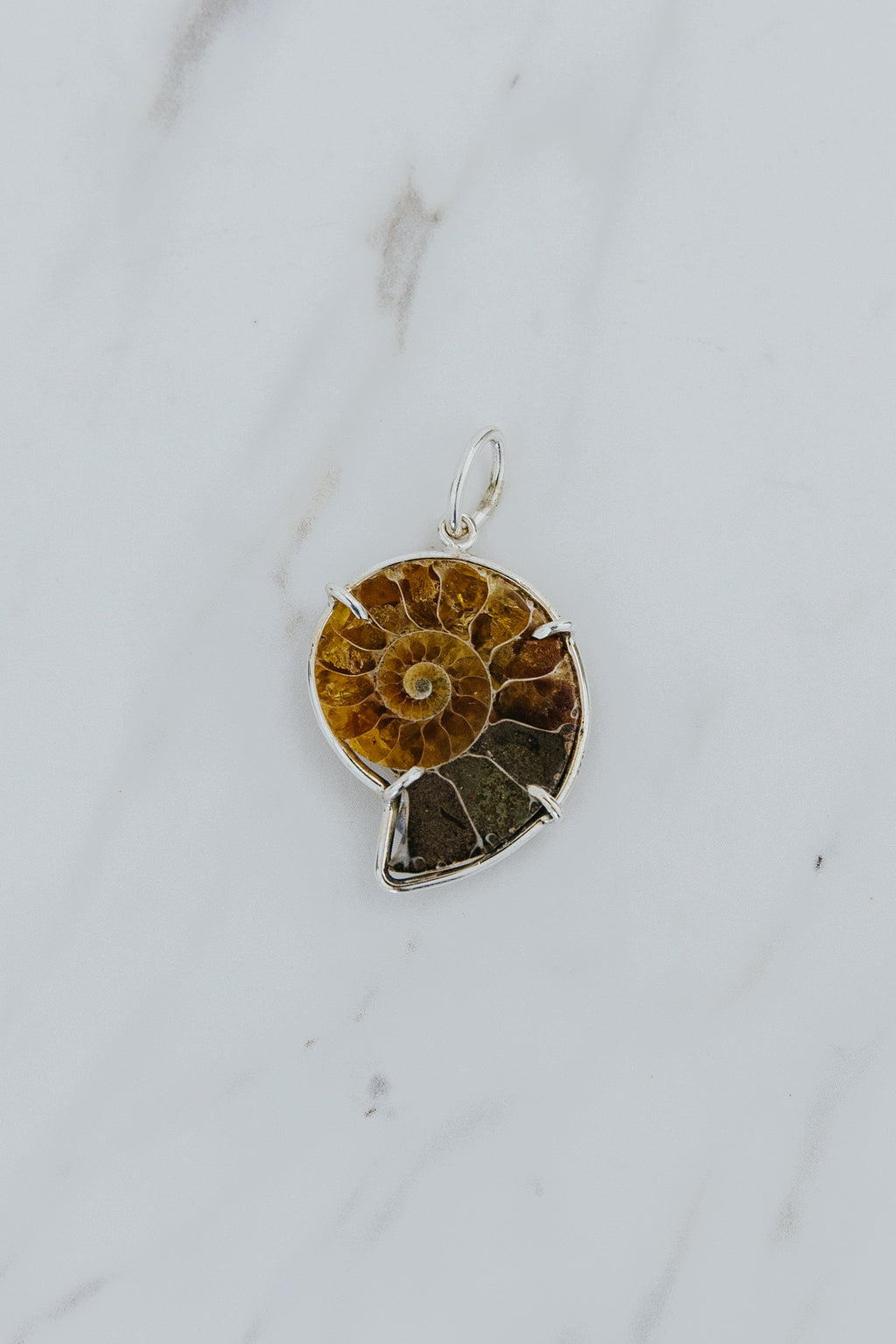 Necklace Charm - Ammonite
