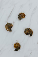 Necklace Charm - Ammonite thumbnail