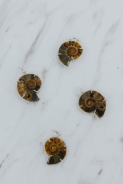 Necklace Charm - Ammonite