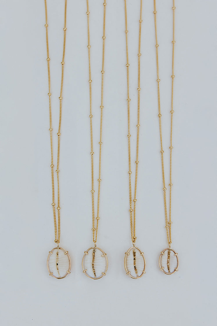 Prong Set Shell Necklace - Cowrie