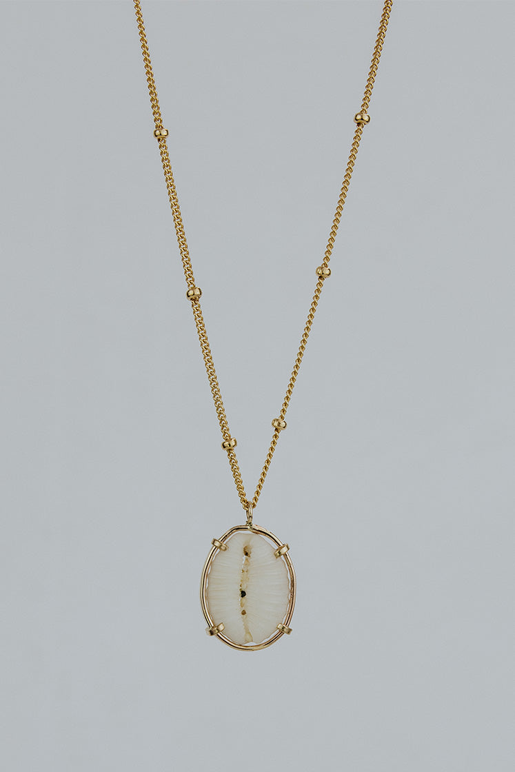 Prong Set Shell Necklace - Cowrie