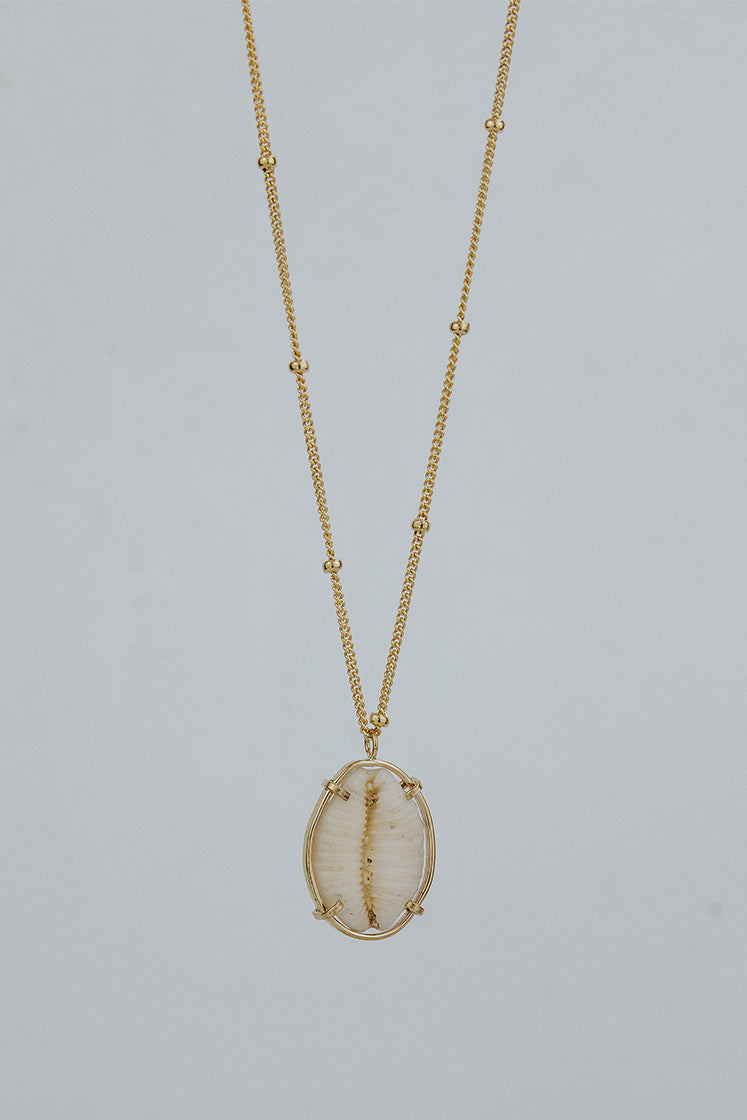 Prong Set Shell Necklace - Large Cowrie