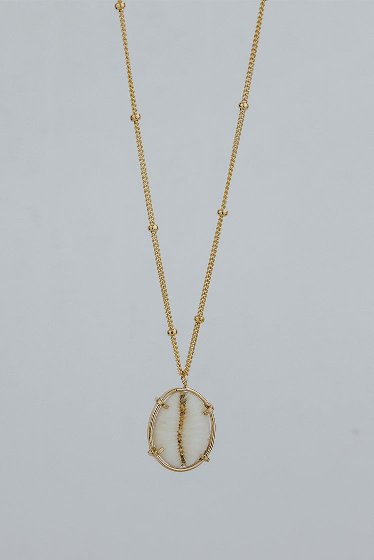 Prong Set Shell Necklace - Cowrie