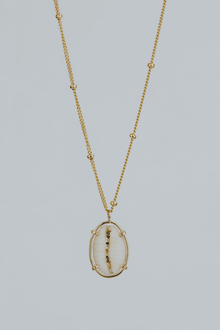 Prong Set Shell Necklace - Cowrie