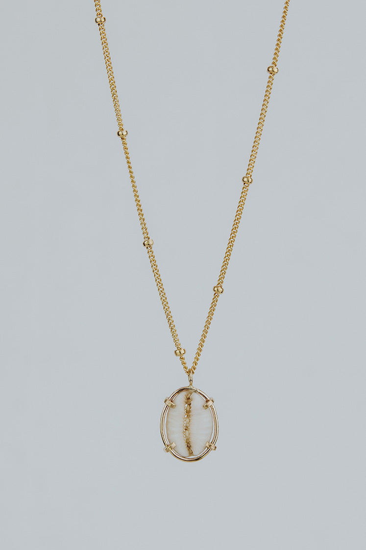 Prong Set Shell Necklace - Cowrie