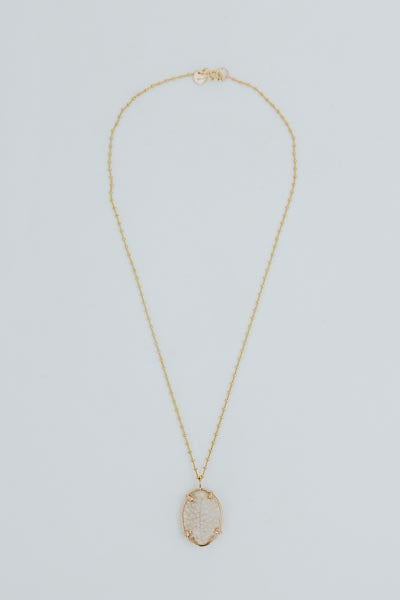 Prong Set Shell Necklace - Granulated Cowrie