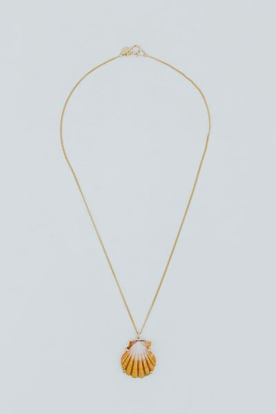 Sunrise Shell Necklace - 16" Chain