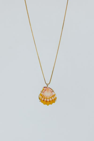 Sunrise Shell Necklace - 16" Chain