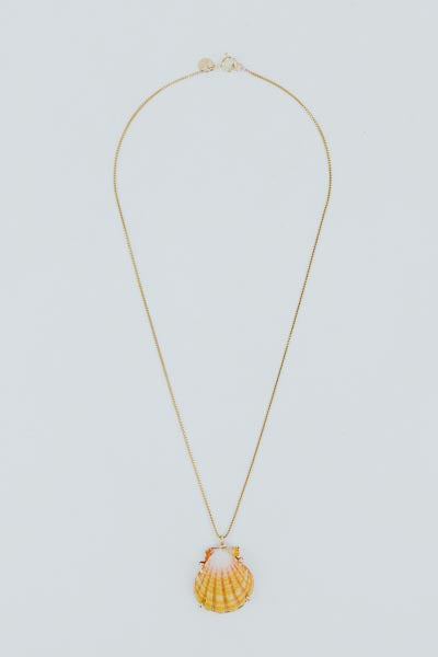 Sunrise Shell Necklace - 18" Chain