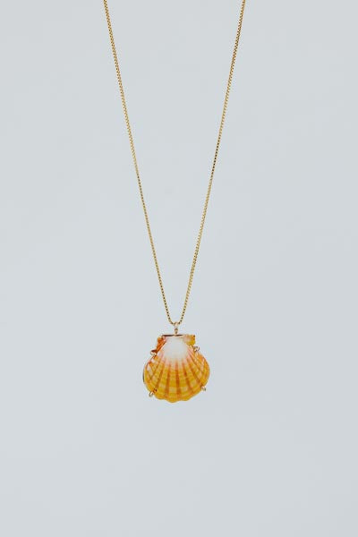 Sunrise Shell Necklace - 18" Chain