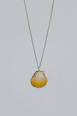 Sunrise Shell Necklace - 14k White Gold