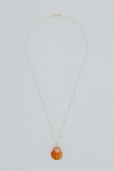 Wings Hawaii prong set sunrise shell necklace 14k yellow gold 