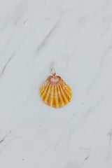 Wings Hawaii Sunrise Shell Necklace Charms in 14k gold-filled. Authentic Hawaiian Sunrise seashells. Fine jewelry handmade in Maui. Real shell jewelry made in Hawaii by local artisans.  thumbnail