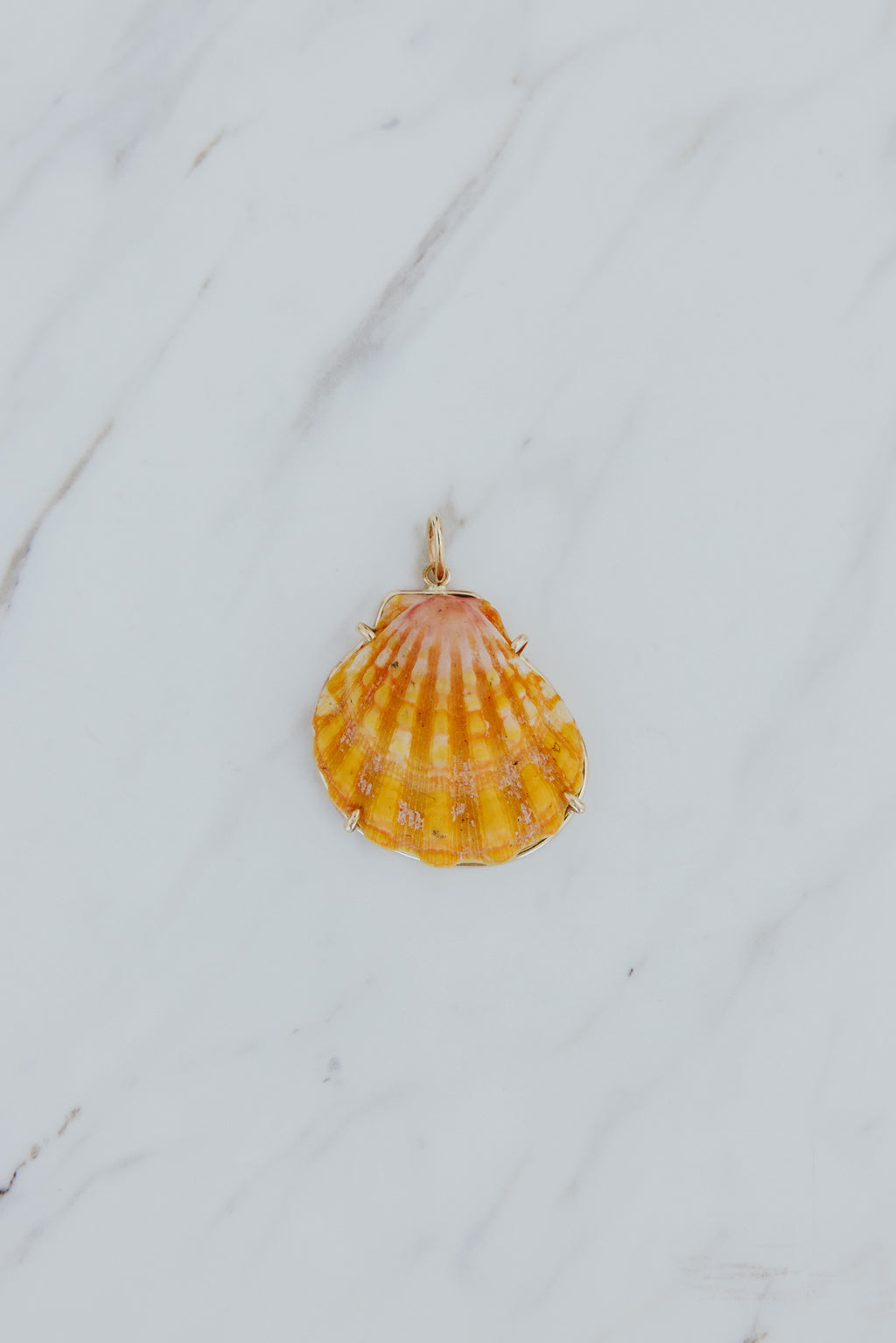 Wings Hawaii Sunrise Shell Necklace Charms in 14k gold-filled. Authentic Hawaiian Sunrise seashells. Fine jewelry handmade in Maui. Real shell jewelry made in Hawaii by local artisans. 