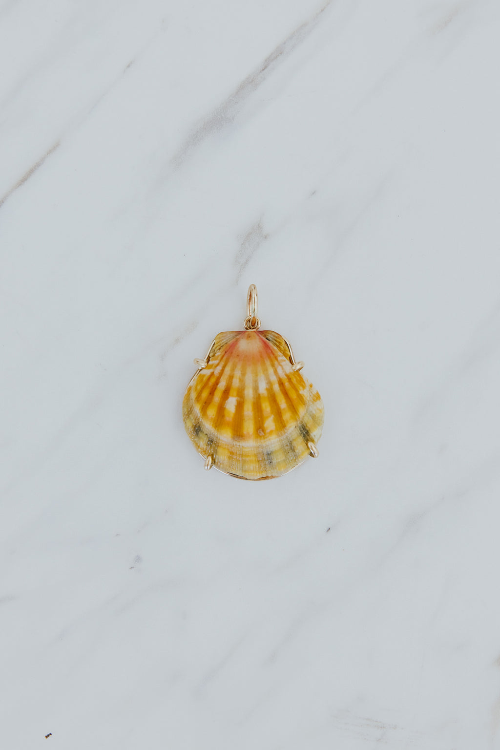 Wings Hawaii Sunrise Shell Necklace Charms in 14k gold-filled. Authentic Hawaiian Sunrise seashells. Fine jewelry handmade in Maui. Real shell jewelry made in Hawaii by local artisans. 