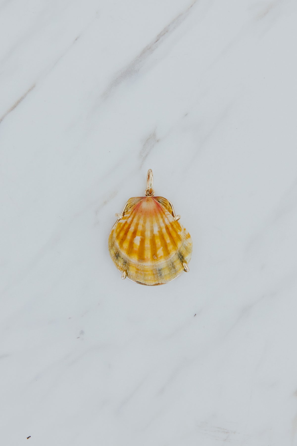 Wings Hawaii Sunrise Shell Necklace Charms in 14k gold-filled. Authentic Hawaiian Sunrise seashells. Fine jewelry handmade in Maui. Real shell jewelry made in Hawaii by local artisans. 