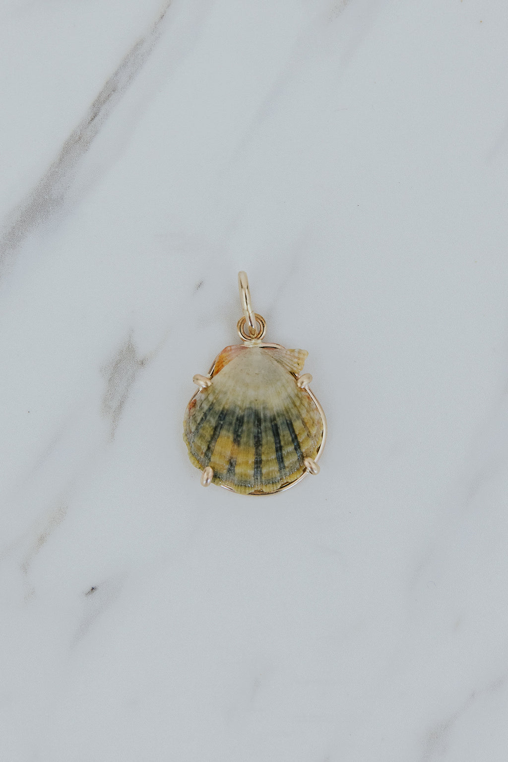 Necklace Charm - Sunrise Shells | GF