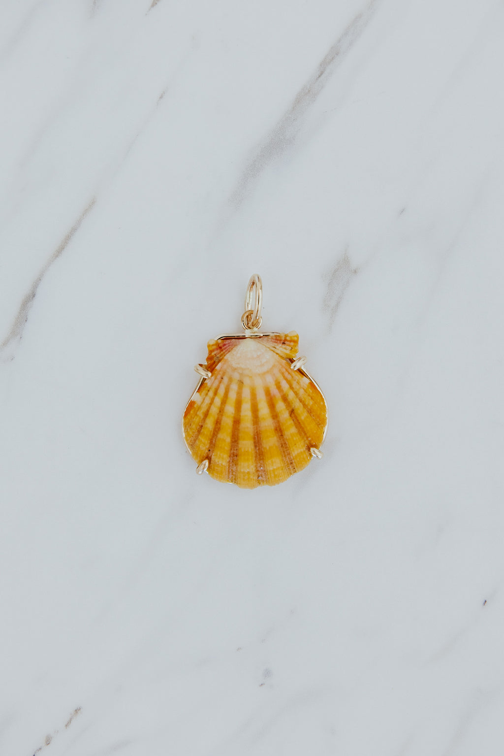 Wings Hawaii Sunrise Shell Necklace Charms in 14k gold-filled. Authentic Hawaiian Sunrise seashells. Fine jewelry handmade in Maui. Real shell jewelry made in Hawaii by local artisans. 